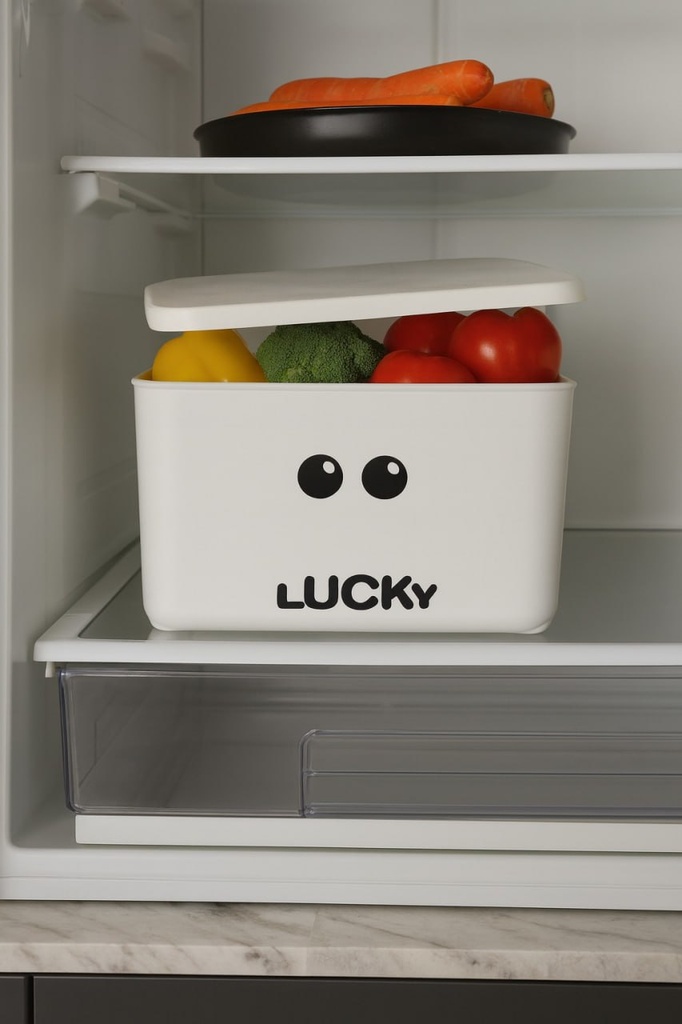 علبة ثلاجة بغطاء ك(عبوة36)