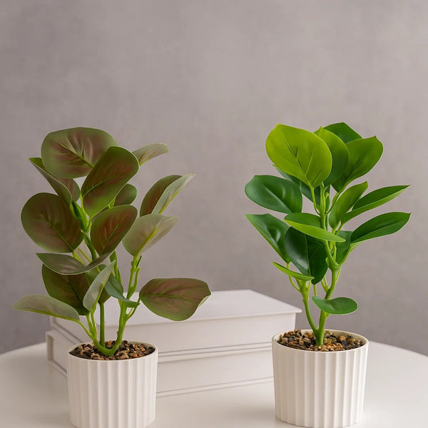 شالية زرع صناعي [ عبوة 144 ]