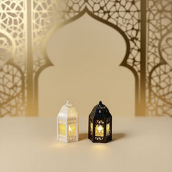 [O-263] فانوس [عبوة 360 ]