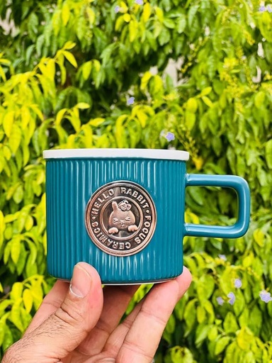 [TT-44] مج بورسلين * 48