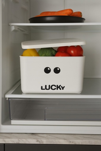 [C-510] علبة ثلاجة بغطاء ك(عبوة36)