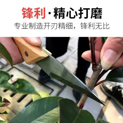 [H-110] سكينه فراوله 4 بوصه * 360