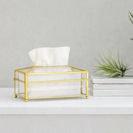 [E-234] علبه مناديل شفاف [كرتون 12]